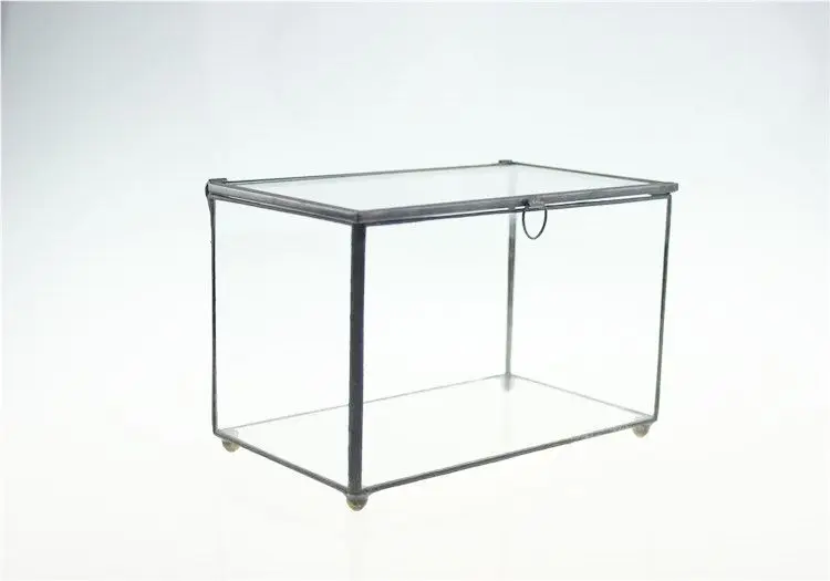 NCYP прямоугольник стеклянный цветочный горшок прозрачный геометрический