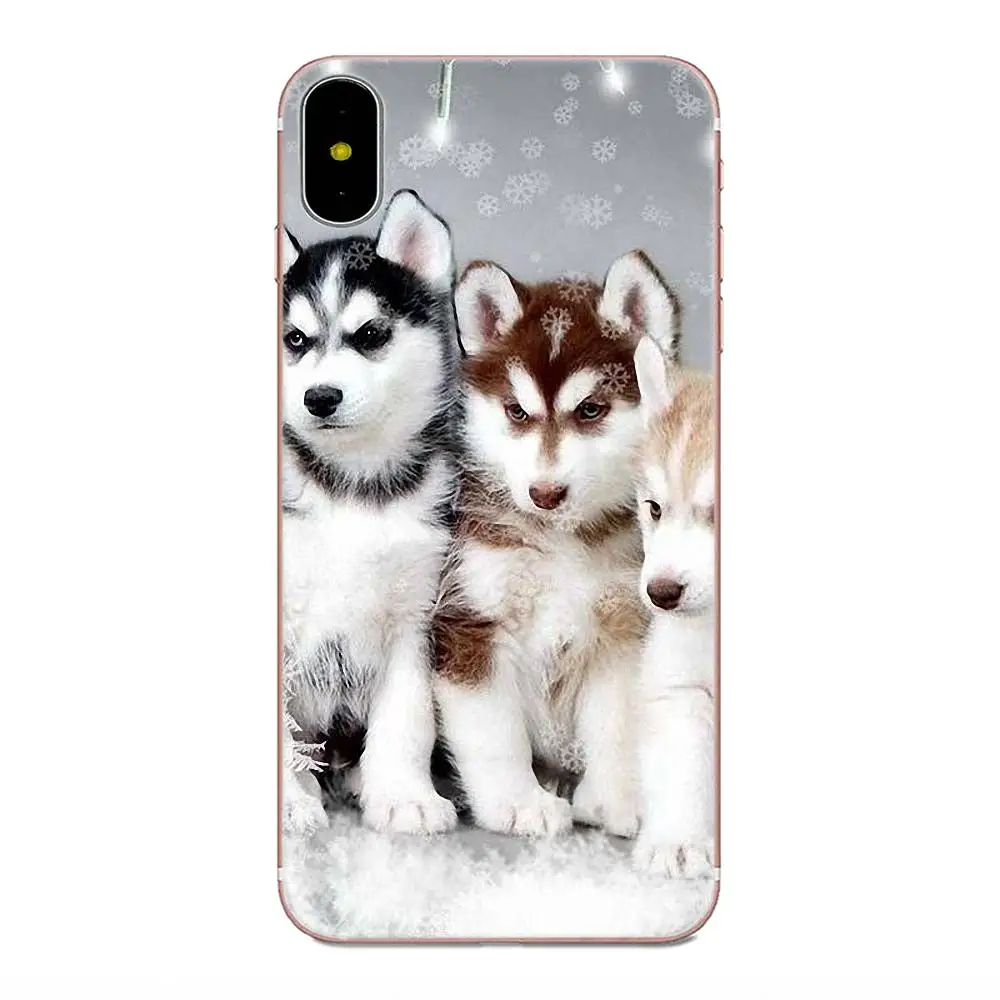 Для Galaxy J1 J2 J3 J330 J4 J5 J6 J7 J730 J8 2015 2016 2017 2018 mini Pro мягкая защитная милая собака Wacky