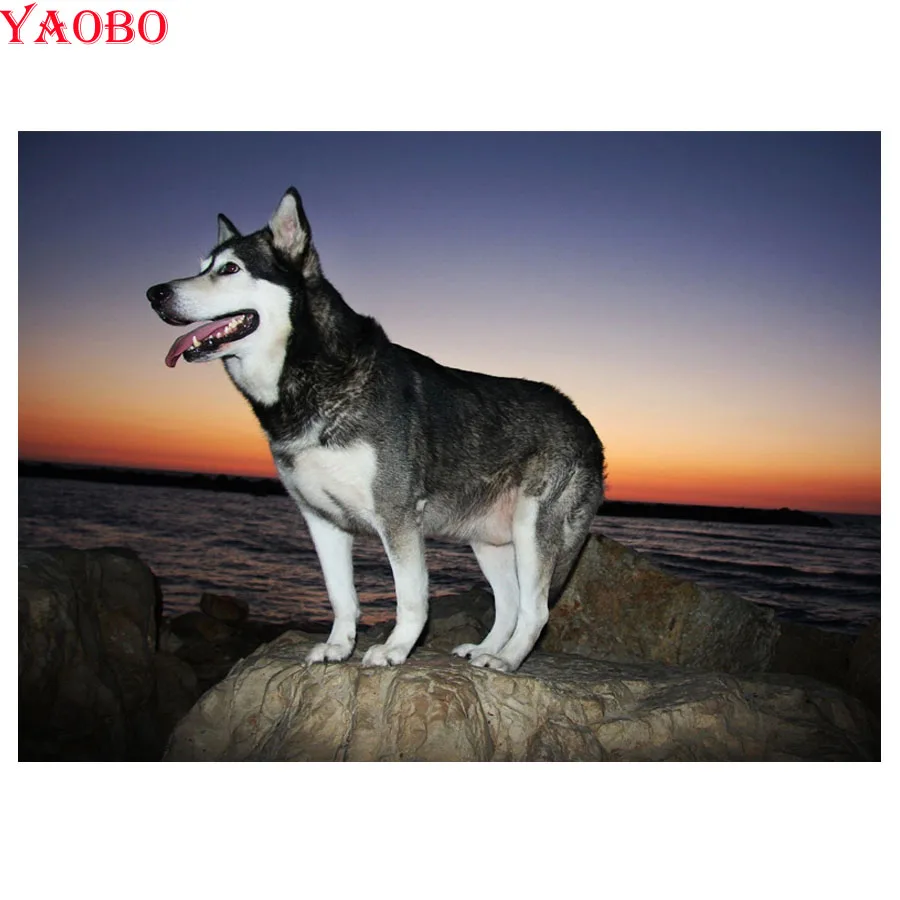 5D Diy Алмазная картина Alaskan Malamute 3D Вышивка крестом полностью квадратная вышивка