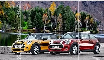 Наклейка для украшения автомобильной двери Roker панель Mini Cooperclubman countryman hardtop R50 R53 R55