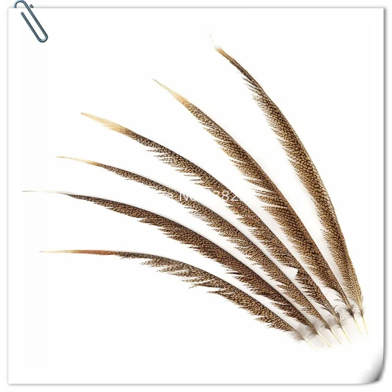 

Wholesale long 50Pcs/Lot 6size can choose Natural Golden Pheasant Tail Feathers DIY jewelry Decorations Pheasant Feathers plume