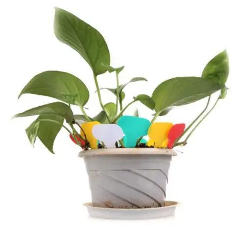 Т лейбл садовые аксессуары садовая этикетка пластиковые ярлыки для растений