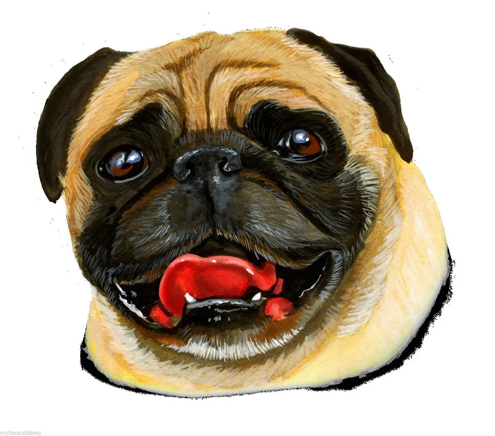 

Funny Clothing Casual Short Sleeve Pug T-Shirt,Tee Shirt