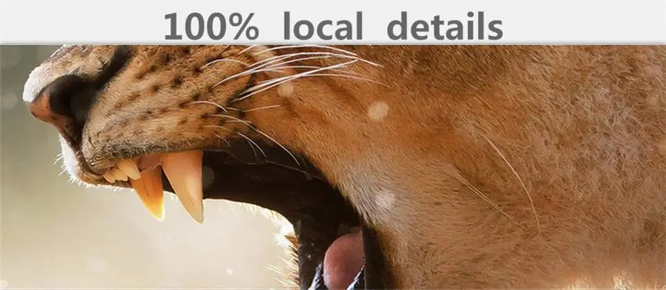 Настенные 3d обои на заказ фрески с изображением диких животных Львов постельных