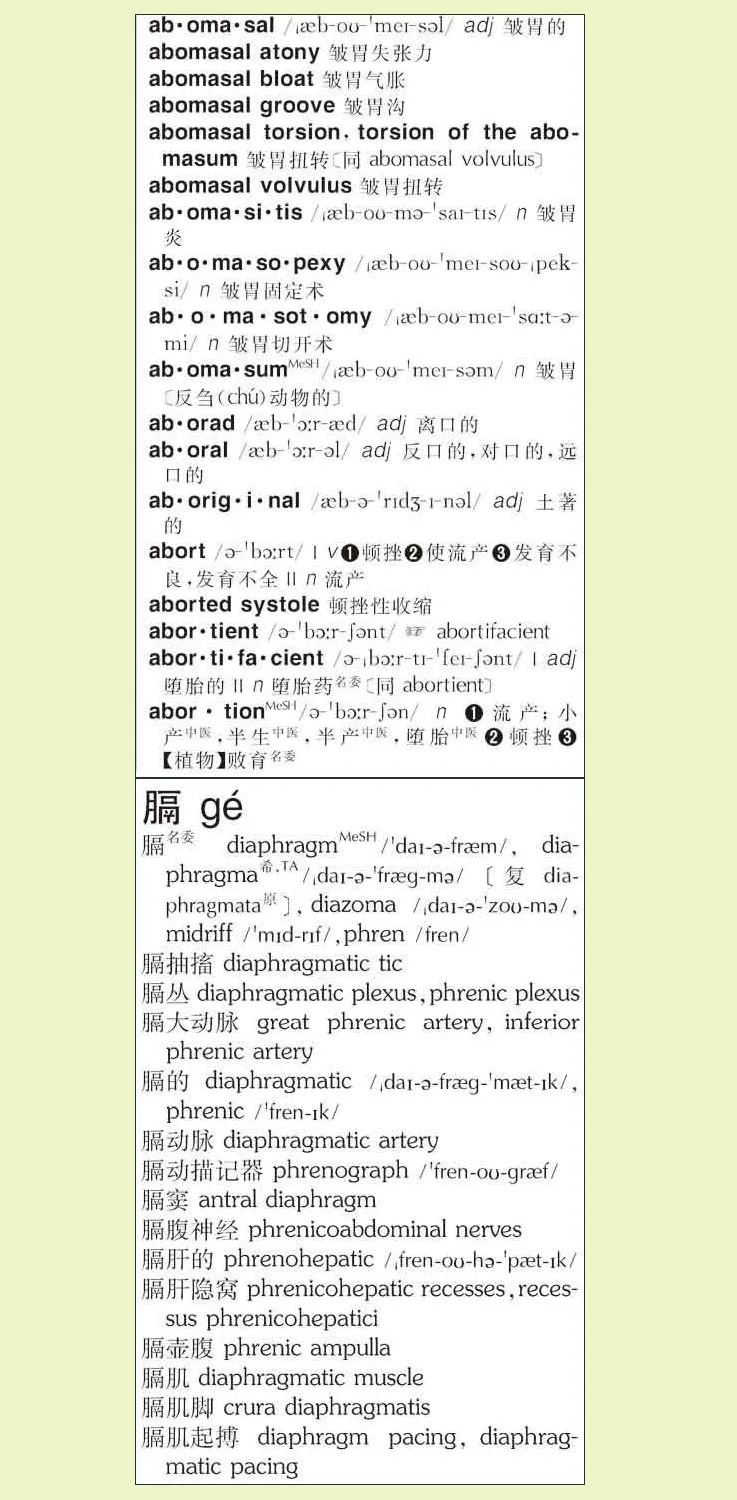 Двуязычный китайский и английский медицинский словарь Книга/китайская медицина