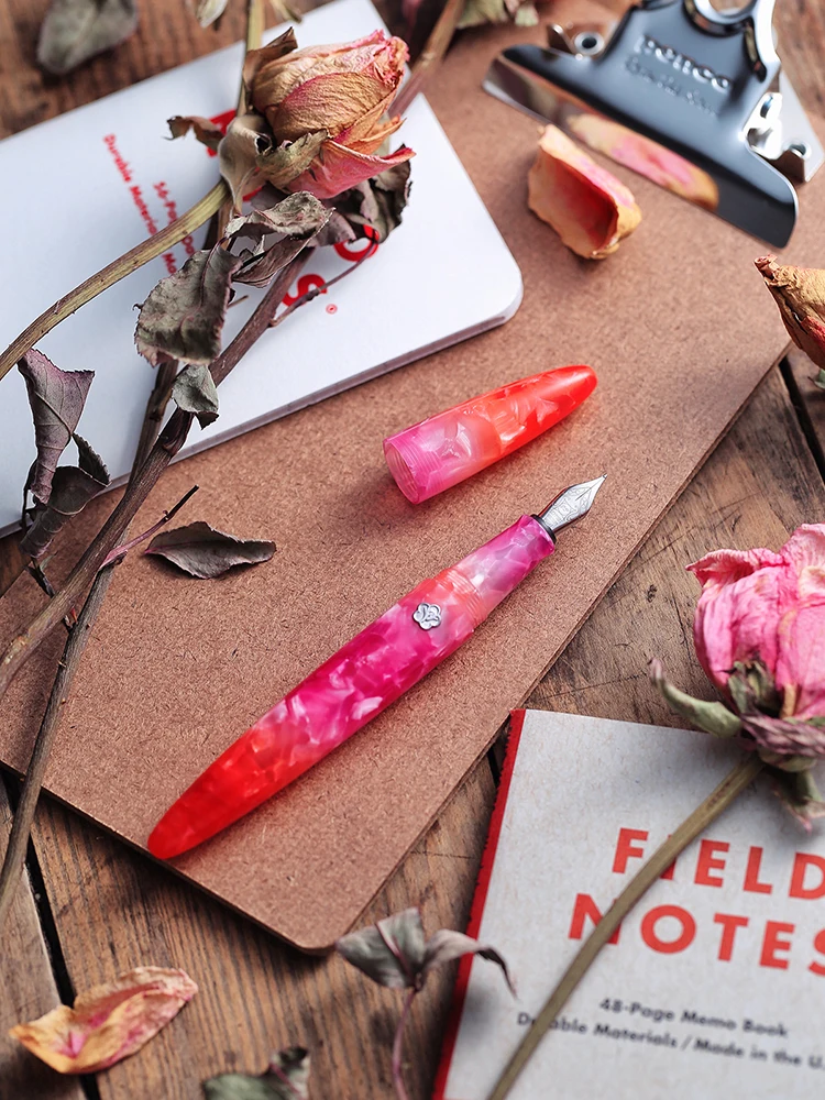 Live In You) Future Series Awesome смоляная авторучка фиолетовый Прованс градиент Ef/f Nib Шариковая ручка для подарочной коллекции