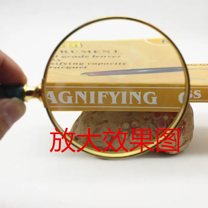 5X Metal Fram Children Educational Magnifying Glass Insect Viewer Optical Lens Handheld Gift Toy Magnifier for Reading | Инструменты