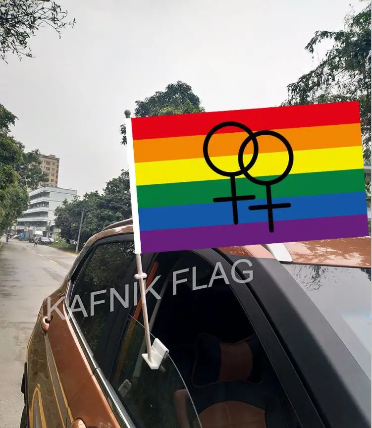 KAFNIK 30*45CMAgender Demisexual Aromantic Asexual флаги и баннеры на окна машины с 43/52 см флагштоком для