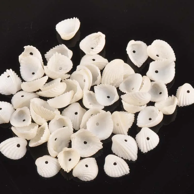 100 шт мини натуральный сектор оболочки для скрапбукинга ремесла морские бусы