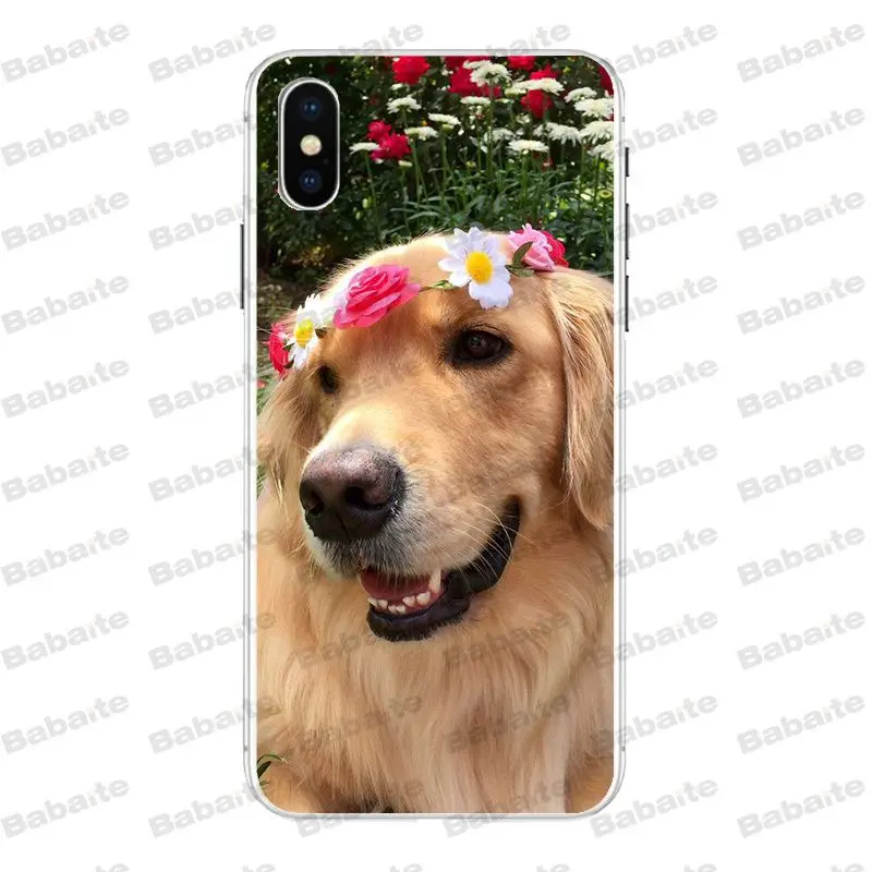 Babaite супер милый золотой ретривер чехол для телефона для iPhone X Xs Xr XsMax 6 6s Plus 7 7plus 8plus 5S 5c SE11 11pro 11promax
