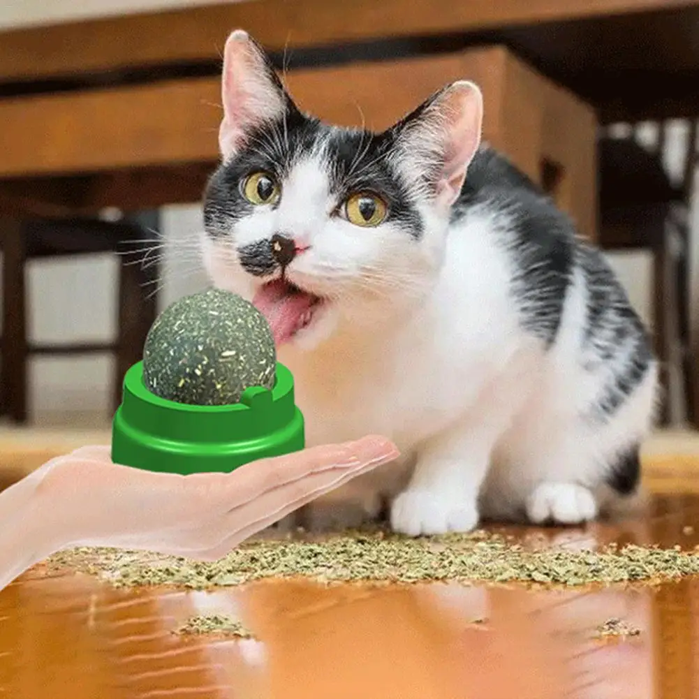 Pet Catnip Toys Ball For Cat Pure Natural Mint Leaf Rotating Puzzle Balls Interactive Training Chew And Lick | Дом и сад