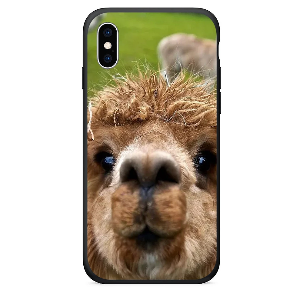 TPU чехол для телефона iPhone 6 силиконовая задняя крышка милый альпака x xr xs max 7 8 Plus 5 5S