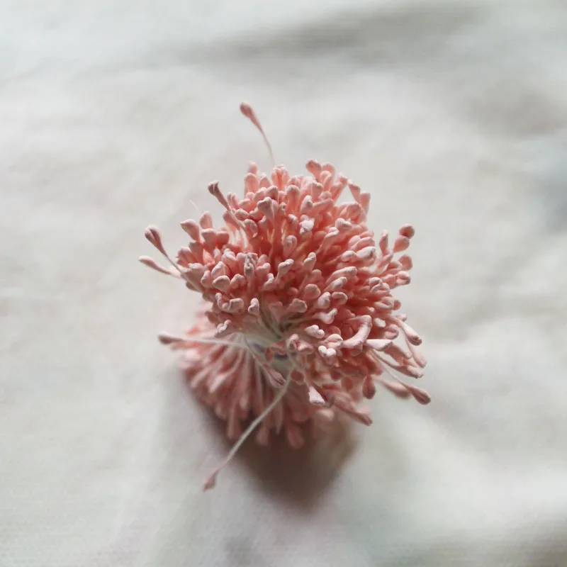 Сахарный торт конфеты Моделирование Цветок матовый цветочный сердечник 200