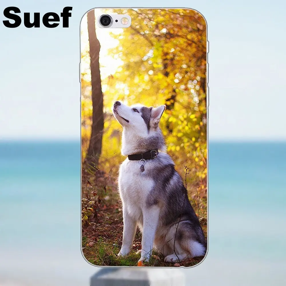 Для iPhone X 4 4S 5 5S 5C SE 6 6S 7 8 Plus Galaxy J1 J3 J5 J7 A3 A5 2016 2017 мягкий термополиуретановый узор для