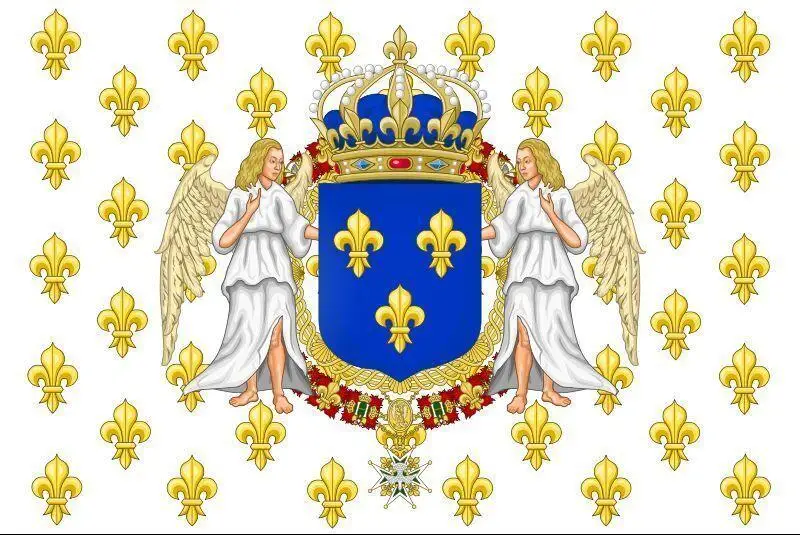 

Royal Standard of the Kingdom of France 1643-1765 Ensign Flag 3ft x 5ft Polyester Banner Flying 150* 90cm Custom flag outdoor