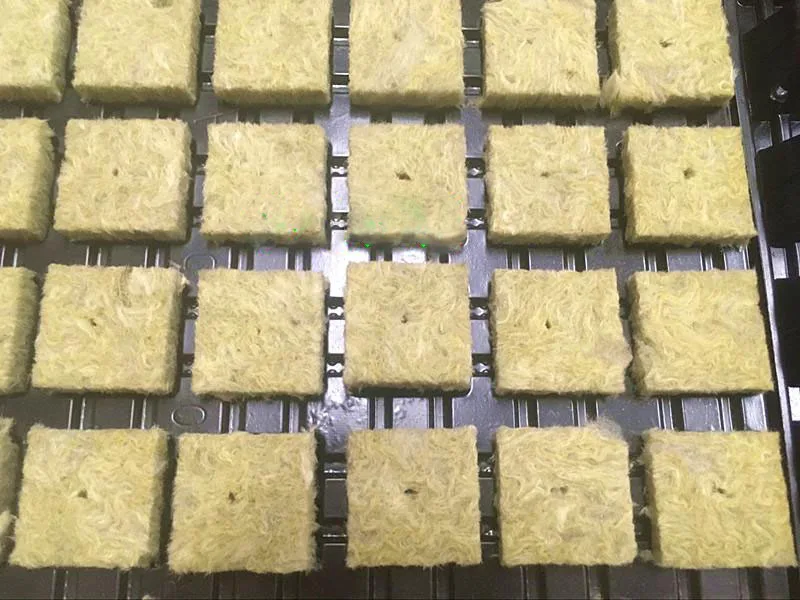 Grodan 36 мм стартовые заглушки кубики Rockwool гидропонная система для выращивания медиа Stonewool размножение клонирование Rockwool кубики мини блок