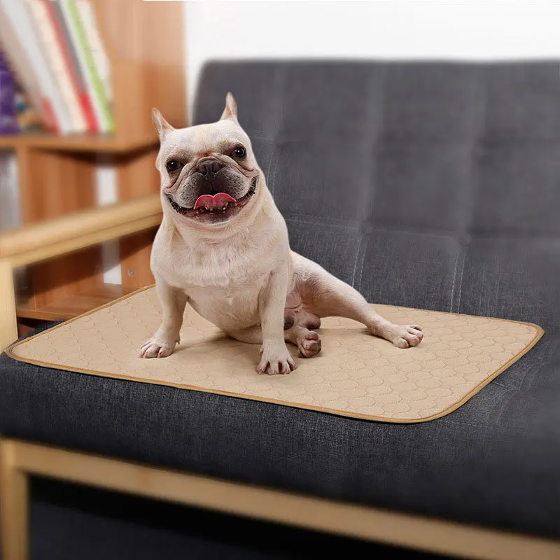

Anti-slip Washable Pet Pee Pad Mat waterful Reusable Pet Dog Urine Pad Diaper for Puppy Training