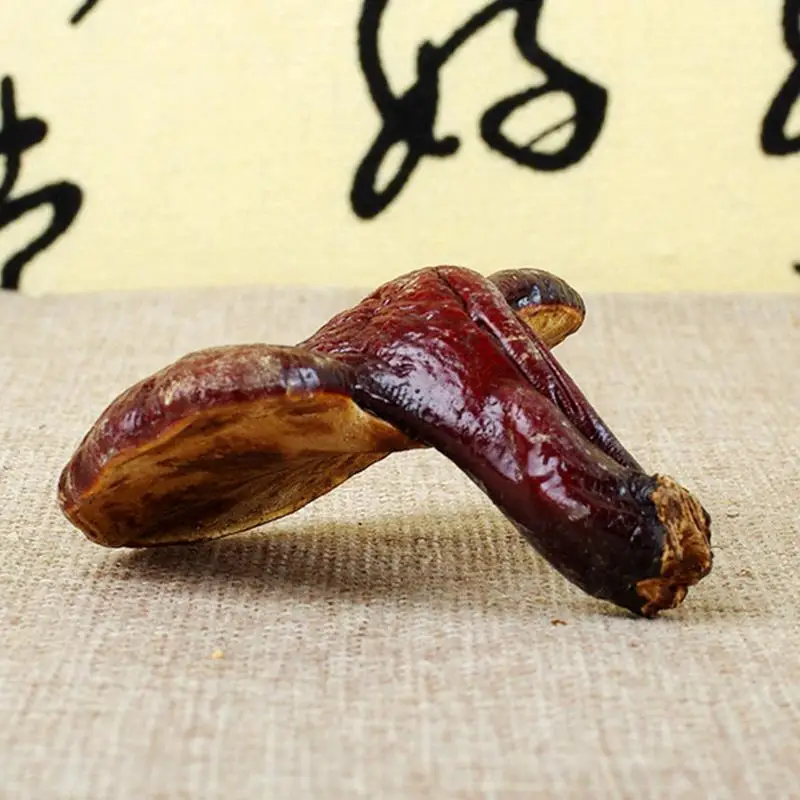 1000g Ganoderma Lucidum Dried Wild Red Lingzhi Reishi Mushrooms Chinese Natural Anti-cancer Health Care Medicine Herbal H2019-45 |