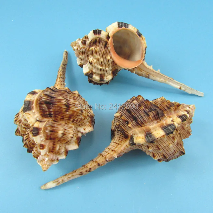 Супер большой окунь 5-10 см * Бесплатный подарок 60 шт маленький белый рыбки