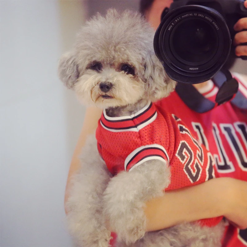 Сетчатый дышащий стильный спортивный жилет для щенков маленького размера размер