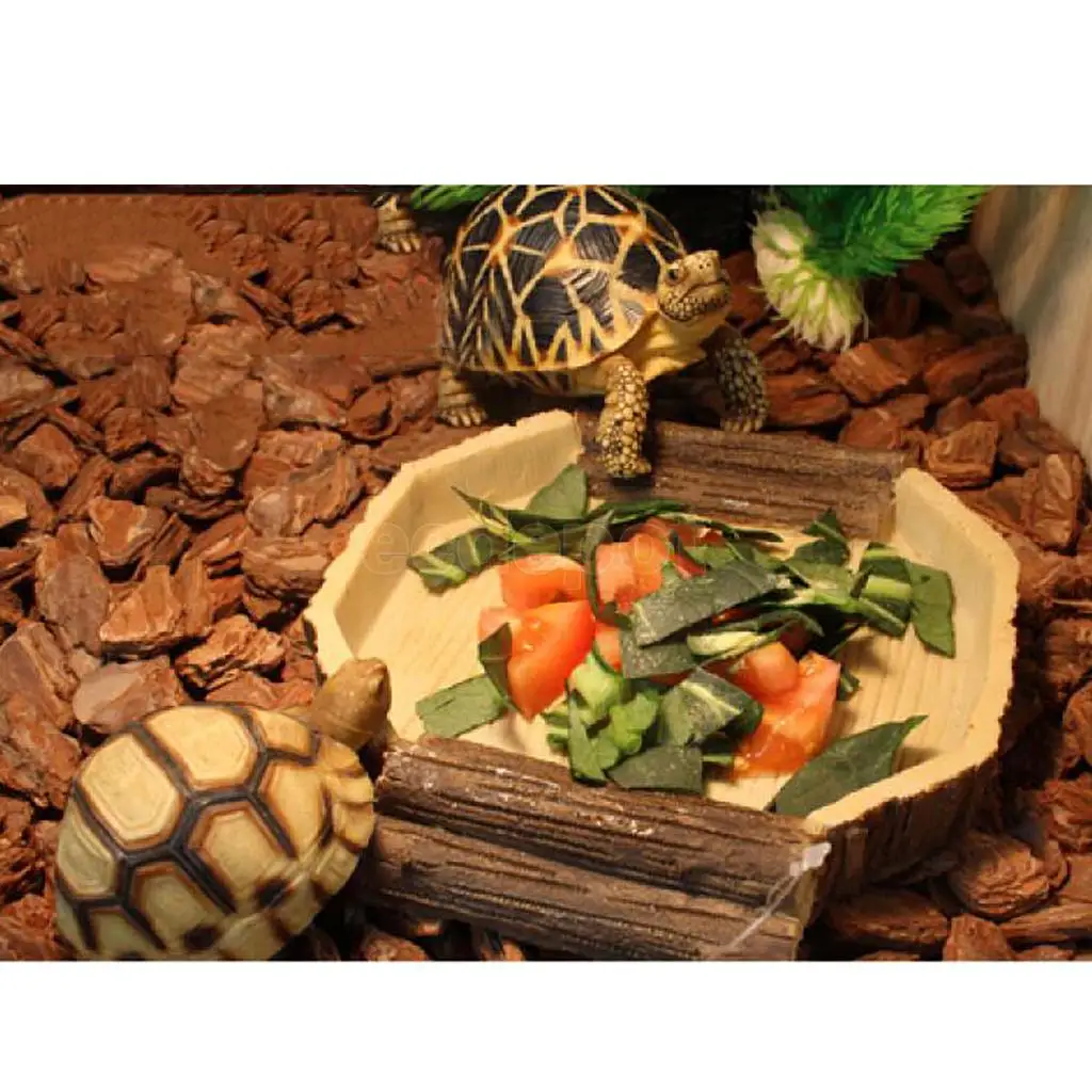 Блюдо для еды и воды фотолампа рептилии 16x15x2 5 см|reptile feeder|terrarium waterreptile water dish |