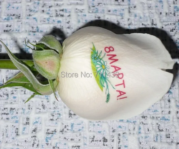 Только модель 3 Цветочная печатная машина цифровой принтер для ногтей и цветов