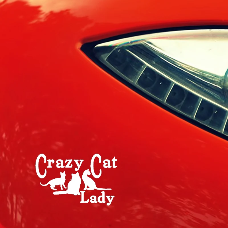 YJZT 15 5 см * 9 виниловые наклейки с изображением Crazy Cat Lady забавные автомобильные