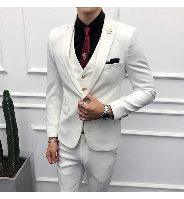 same as photo Мужские приталенные белые костюмы, мужские деловые костюмы в Корейском стиле, мужские повседневные вечерние костюмы-смокинги, комплект из 3 предметов, пиджак, жилет, брюки - Цвет: same as photo