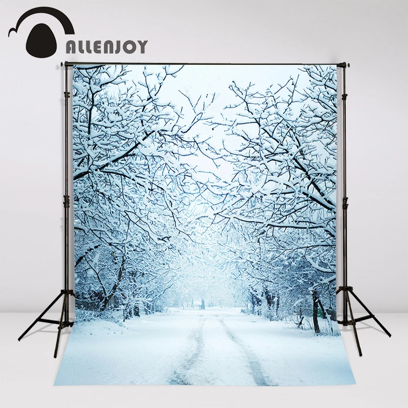 Allenjoy зимний фон для фотосъемки белый снег дорога ветка Романтический парк дерево