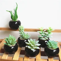 1 pc mini artificial simulated succulent plant bonsai pvc flocking with black ceramic vase office home desktop decoration