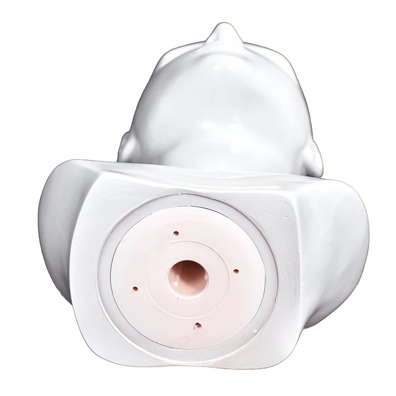 Женский модельный манекен головной парик шарф очки шляпа крышка стенд| |