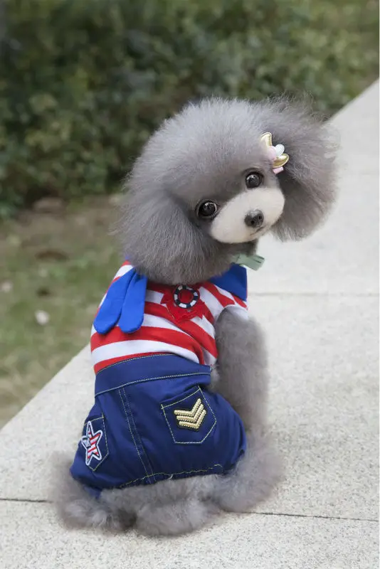 A97 Бесплатная доставка Весенняя Одежда для питомцев с четырьмя лапами горячая