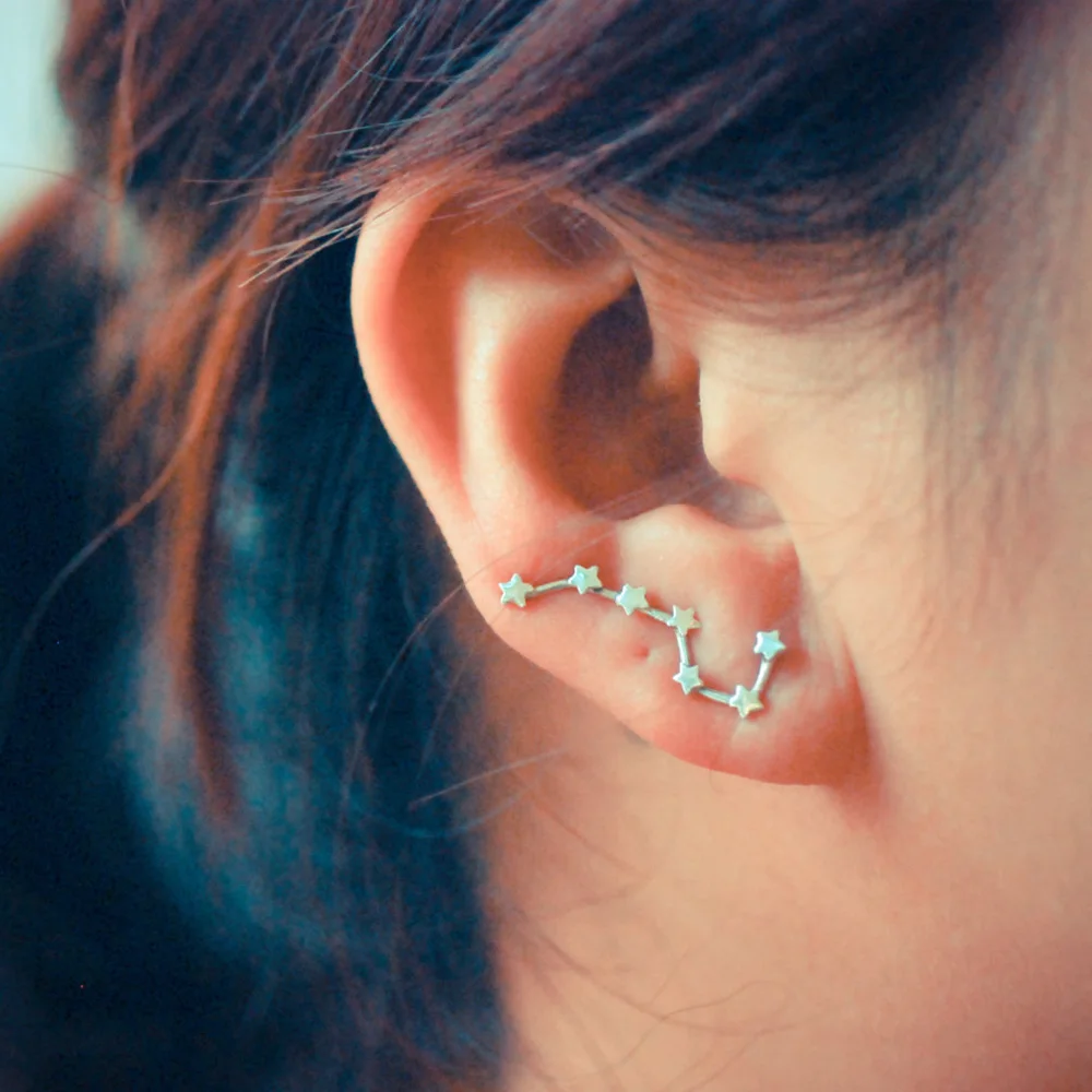 Женские серьги гвоздики с большим медведем в виде зодиака и созвездия