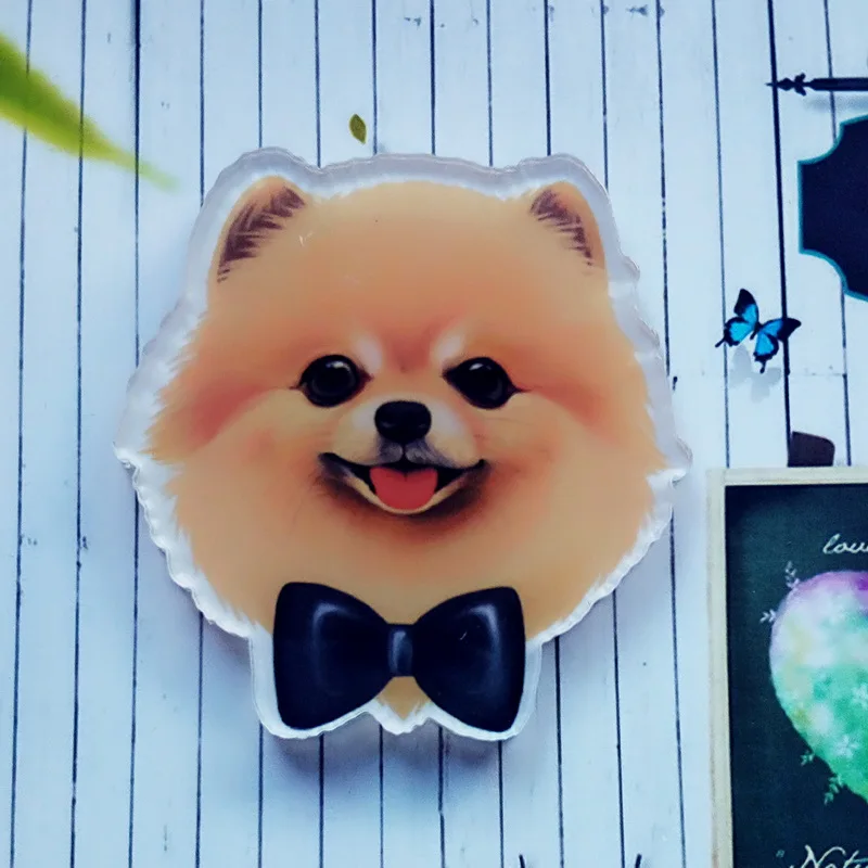 Лидер продаж милая акриловая брошь в стиле Харадзюку для женщин и мужчин значок