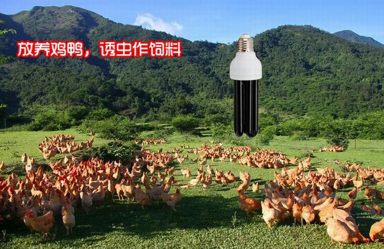 20 Вт ультрафиолетовая лампа черного света Светодиодная E27 винт лампы | Лампы и