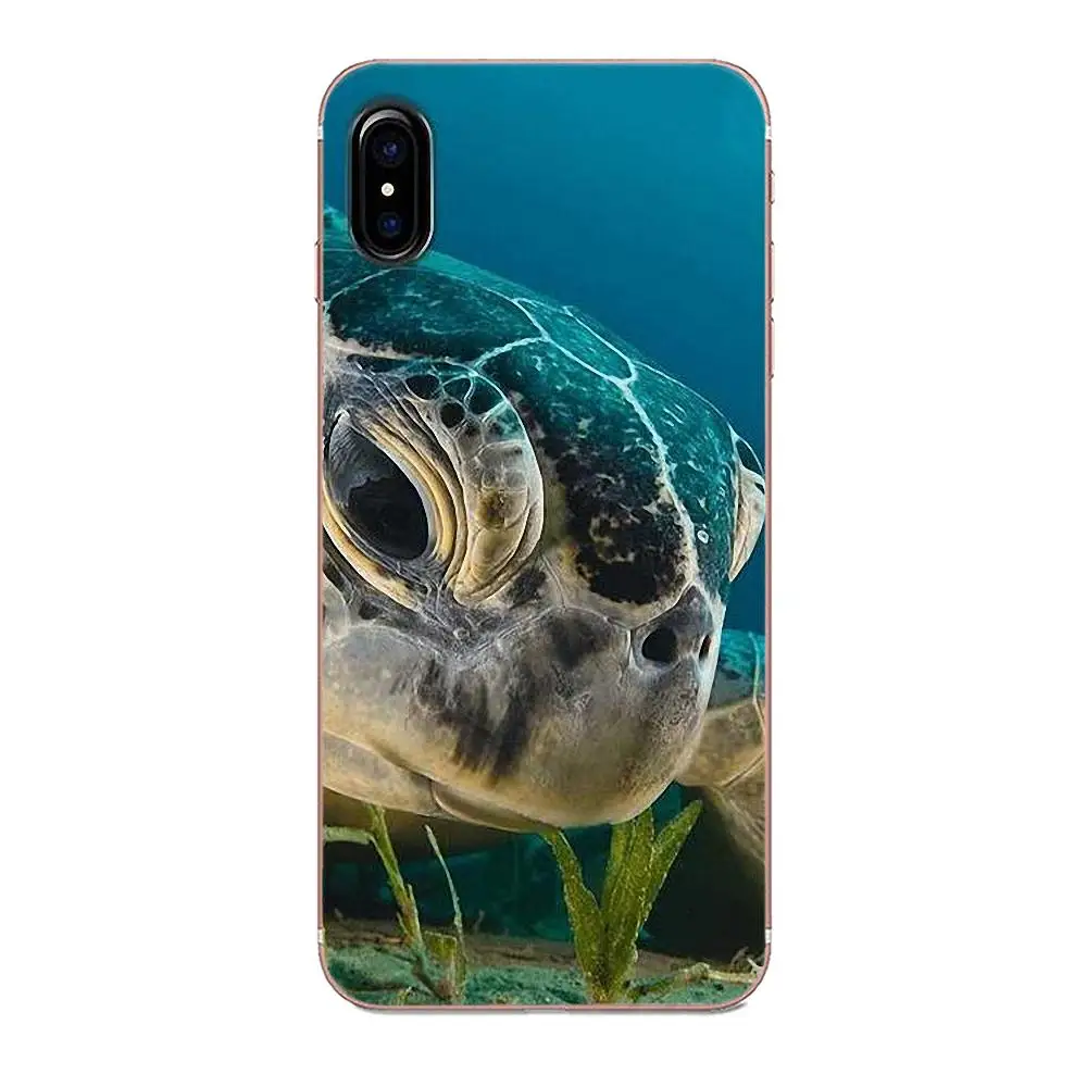 Крутые Черепаховые чехлы из ТПУ для Huawei P7 Honor 4C 5A 5C 5X 6 6C 6A 6X 7 7X 8 9 V8 V10 Y3II Y5II Y6II G8 Play