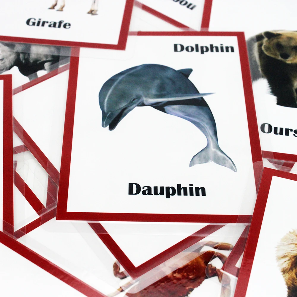 30 шт. Детские Обучающие Карманные флэш карты|Чтение| |