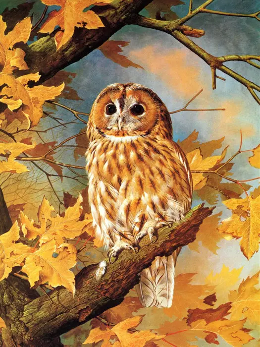 Diy diamond painting owl icon rhinestone pasted cross stitch round embroidery animals pattern handcraft crafts | Дом и сад