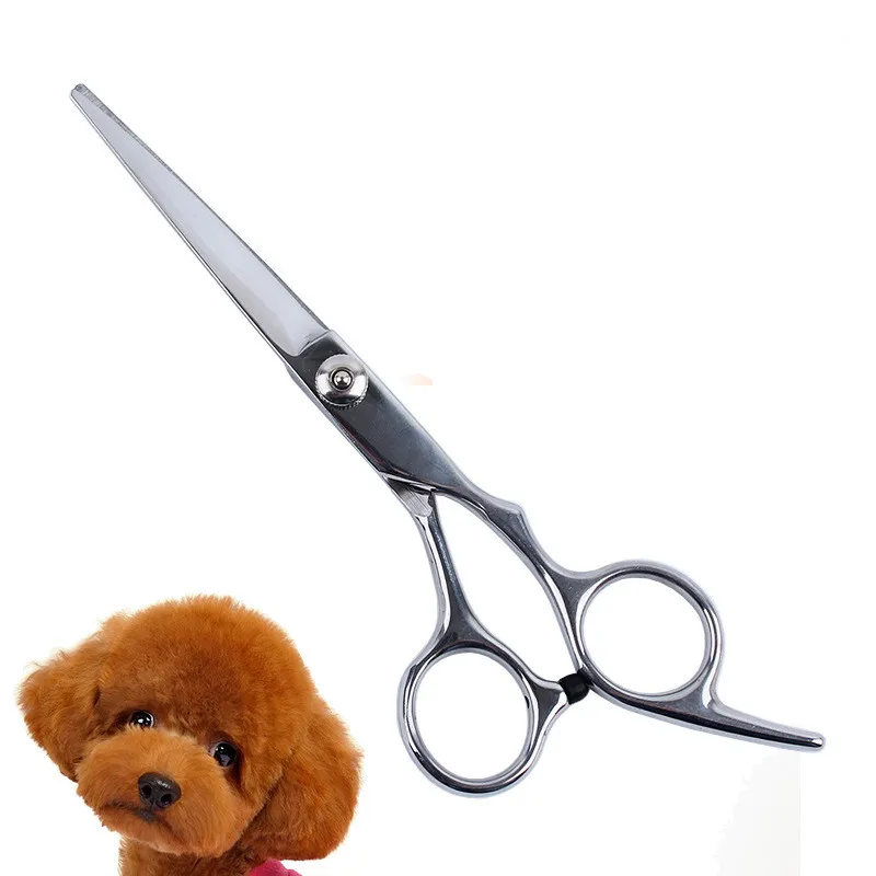 6 Дюймов Pet Собака Из Нержавеющей Стали Безопасности Ножницами Стрижка