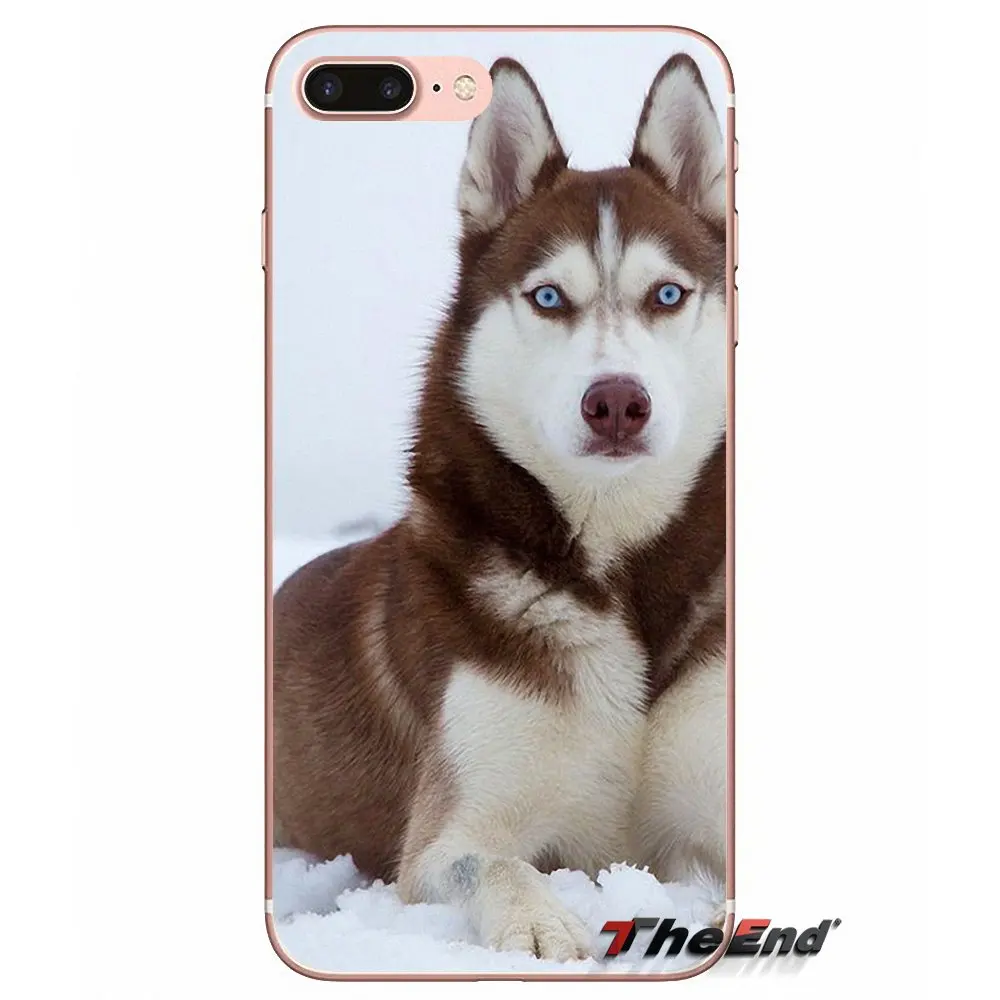 Для Apple iPhone X 4 4S 5 5S SE 5C 6 6S 7 8 Plus 6Plus 7plus 8plus Fundas Coque Siberian Husky Dog puppies Силиконовый ТПУ