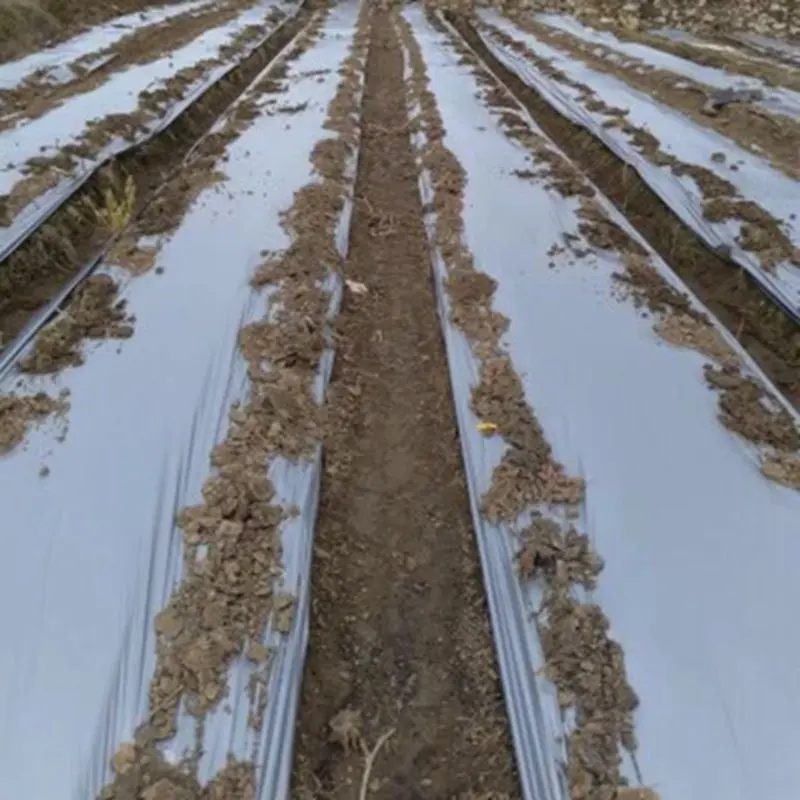 Сельскохозяйственная серебристая фотопленка 0 012 мм для защиты от