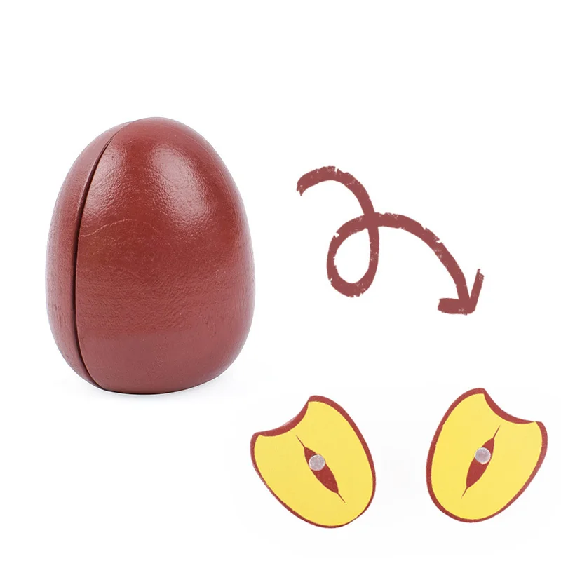 [Toy Woo] деревянная режущая кухонная игрушка, ролевые игры, фрукты, овощи, детские развивающие пищевые игрушки, детские кухонные игры, подарки - Цвет: Jujube