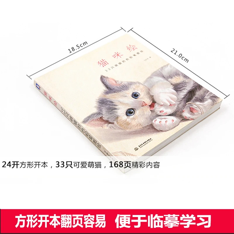 Книга для рисования с китайскими карандашами Feile Bird милый кот книга обучения