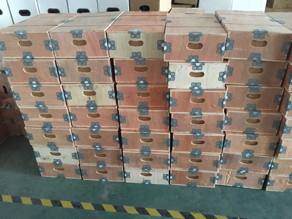 (DHL с бесплатной доставкой) Высокое качество dc бесщеточный подводный насос на