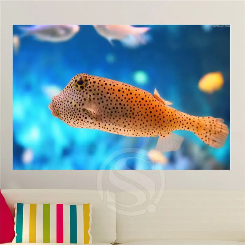 Бесплатная доставка больше размеров креативные на заказ рыба-клоун домашний