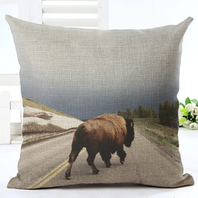 Наволочка с цифровой печатью из мультфильма забавная наволочка изображением