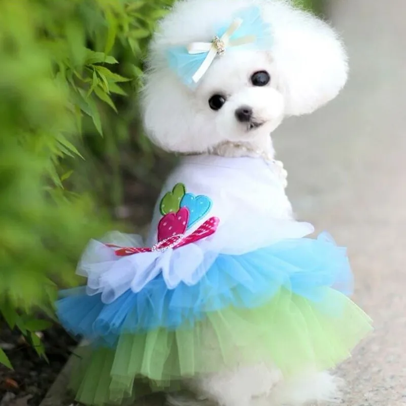Платье для чихуахуа собака платье Костюмы для собак Chiwawa одежда Йорки Чихуахуа платья Cat лето маленькая собака кружевное платье принцессы для девочек