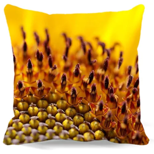 

Home Decorative Throw Pillow Case Sunflower Plant Series Cushion Cover