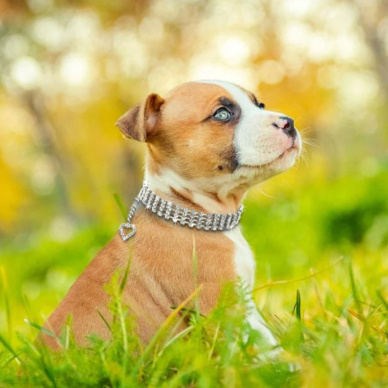 Creative Pet Dog Necklace Small Dogs Bling Faux Rhinestone Pet Collar Puppy Heart Pendant Necklace Puppy Pet Dog Neck Decoration