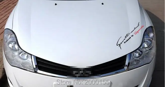 Автомобильный Стайлинг спортивный автомобиль легкие брови наклейка для Land Rover